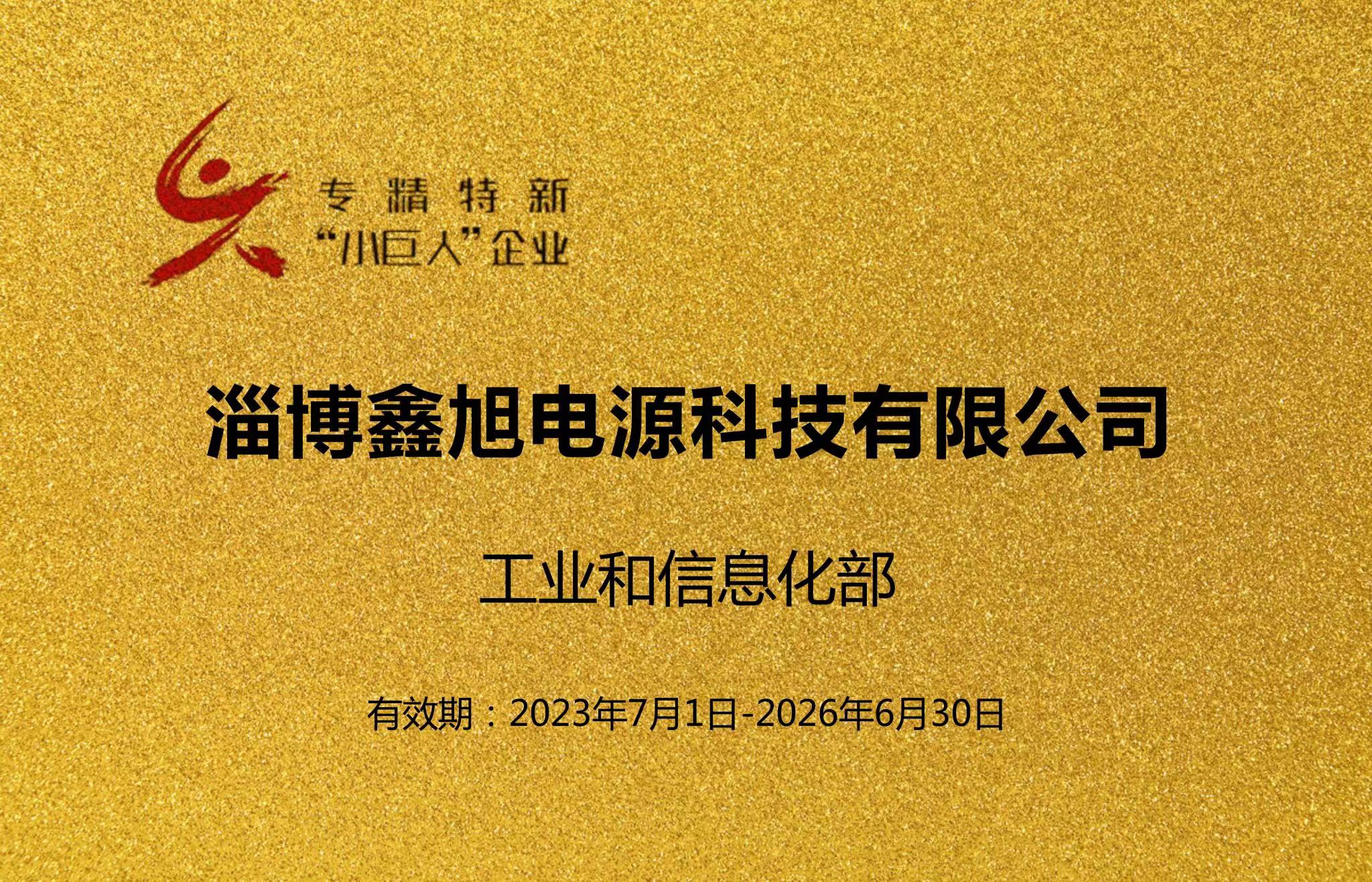 专精特新 小巨人企业