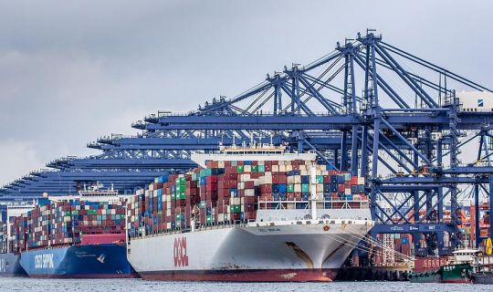 Seafood Import Business