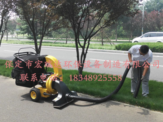 365在线登录入口