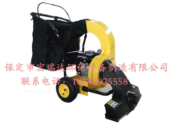 365在线登录入口