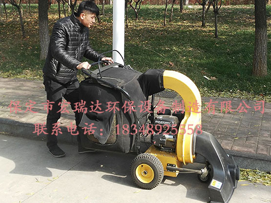 365在线登录入口
