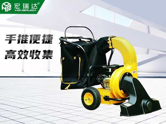 365在线登录入口