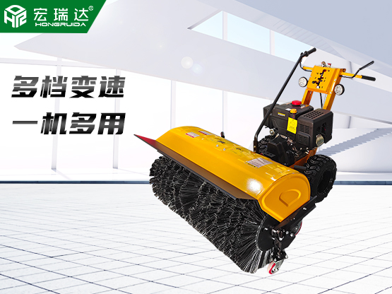 365在线登录入口
